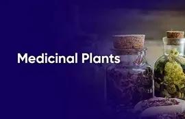Medicinal Plants and Its Uses