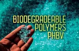 Biodegradable Polymers (PHBV)