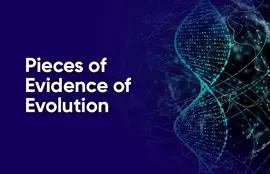 Pieces of Evidence of Evolution