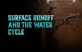 Surface Runoff and the Water Cycle