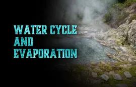 Water Cycle and Evaporation