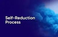 Self-Reduction Process