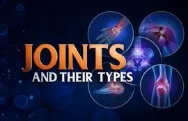 Joint and Its Types