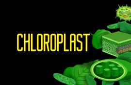 Chloroplast