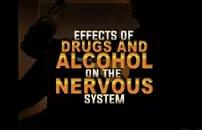 Effect of Drug and Alcohol on the Nervous System