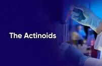 The Actinoids