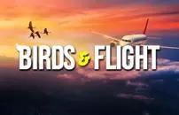 Birds & Flight