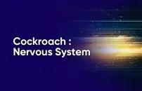 Cockroach : Nervous System