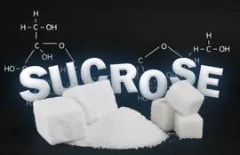 Sucrose
