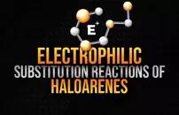 Electrophilic Substitution Reactions of Haloarenes