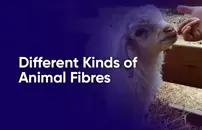 Different Kinds of Animal Fibres
