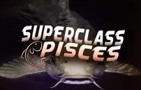 Superclass Pisces