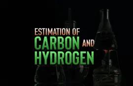 Estimation of Carbon and Hydrogen