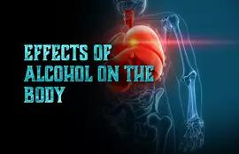 Effects of Alcohol on the Body