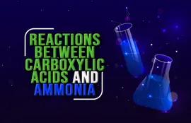 Reactions Between Carboxylic Acids and Ammonia