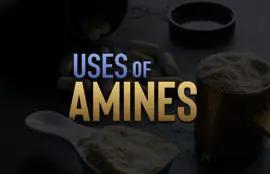 Uses of Amines
