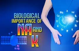 Biological Importance of Na and K