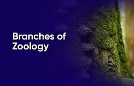 Branches of Zoology