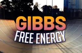 Gibbs Free Energy