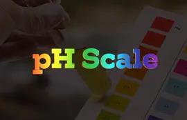 pH Scale