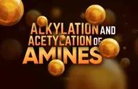 Alkylation and Acetylation of Amines