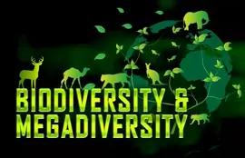 Biodiversity and Megadiversity