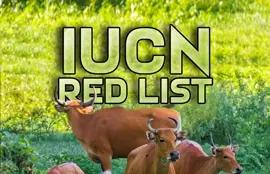 IUCN Red List